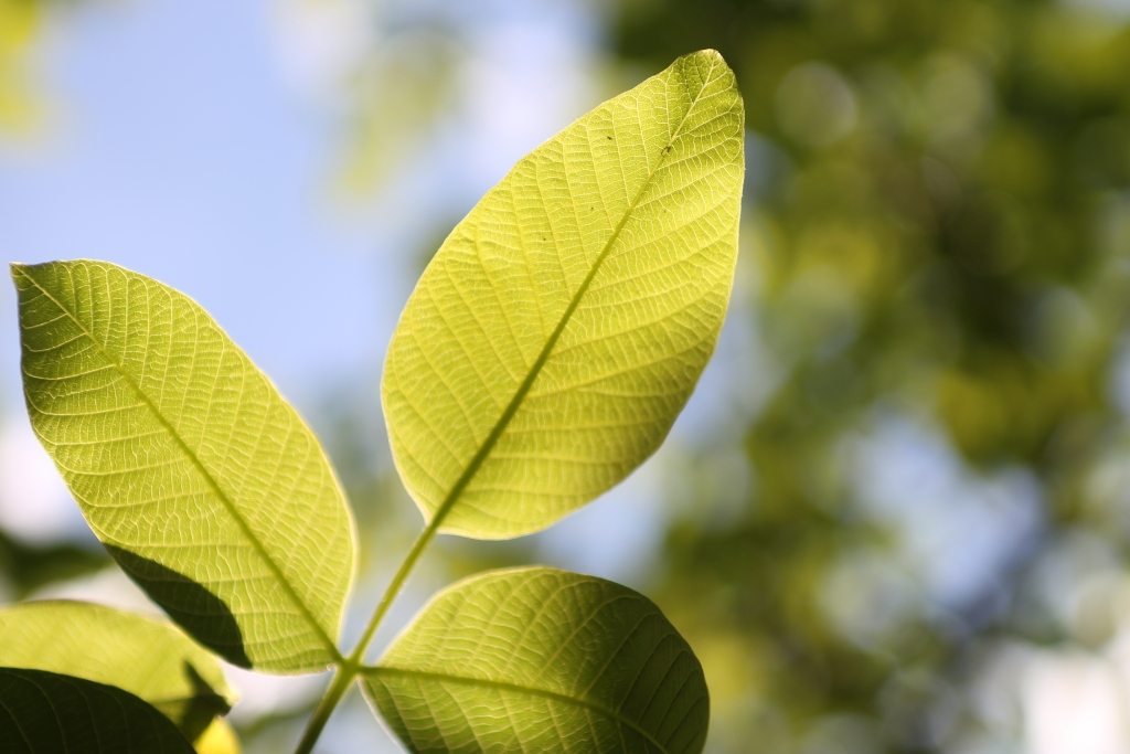 Köszi mindent, újságírók!