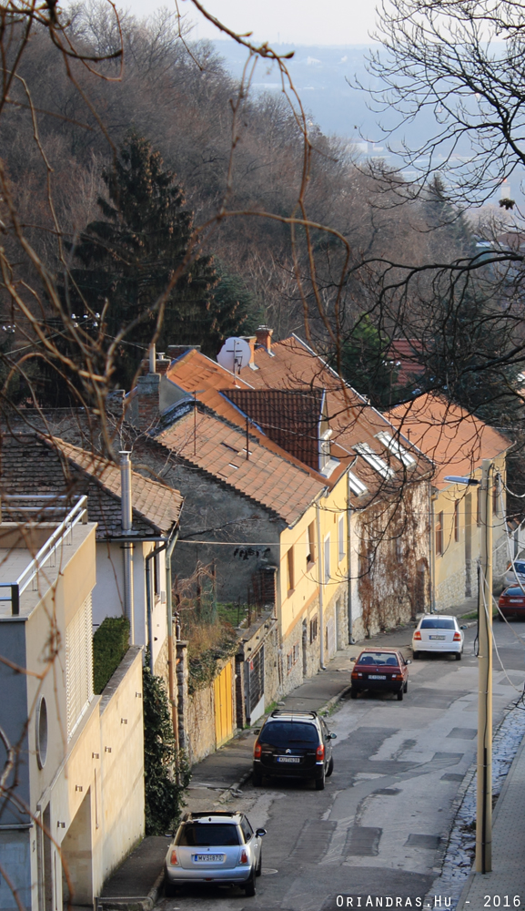 Tél vége a Tettyén (fotó: Őri András - 2016)