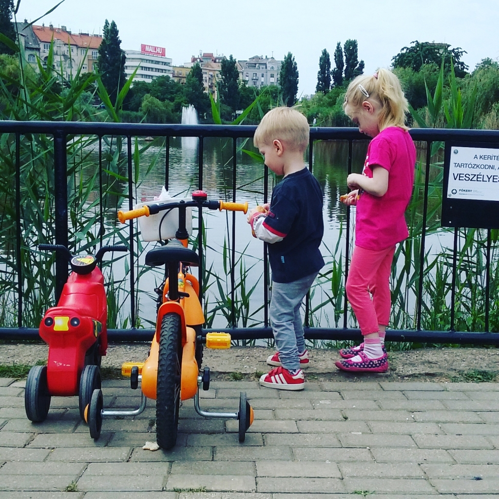 2016. június 11., szombat