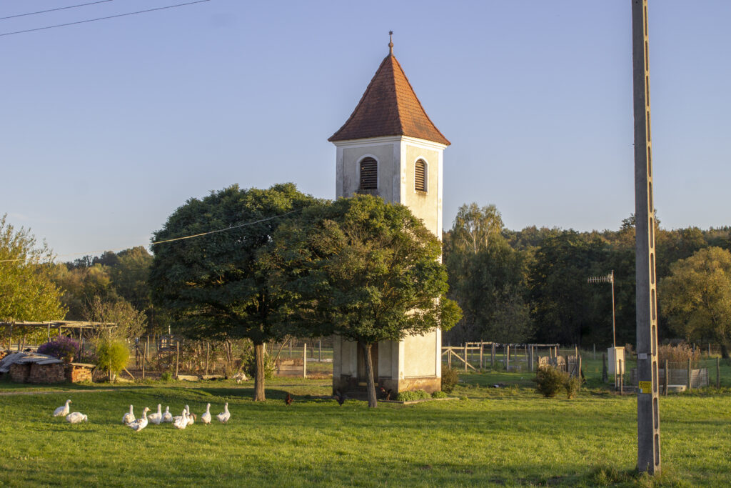 A magyarszombatfai harangtorony, libákkal