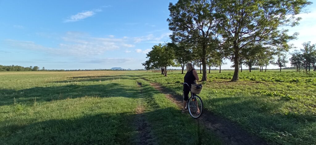A Berekben biciklizve, háttérben a Badacsony