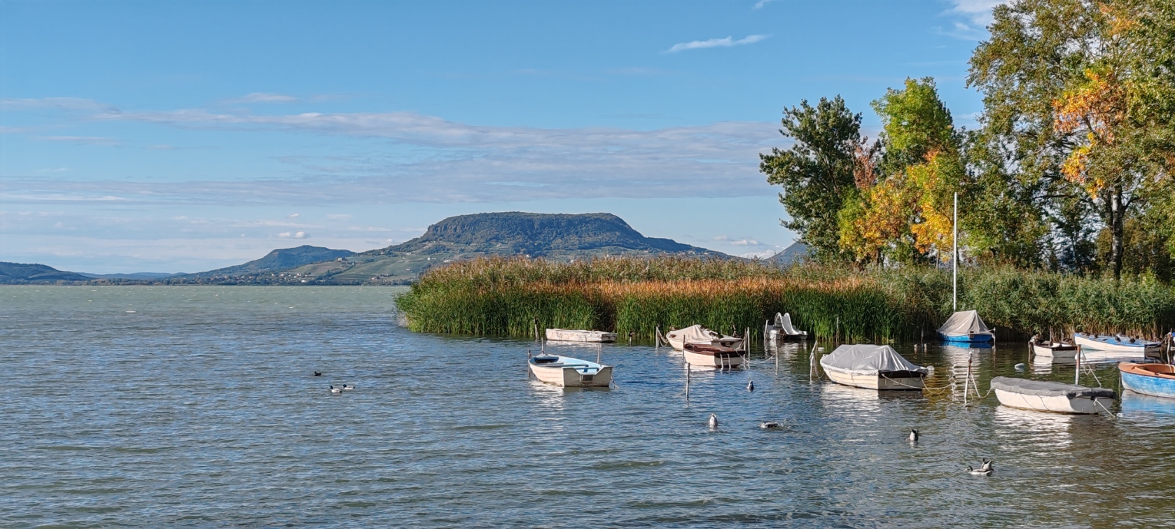 A Balaton legjobb arca